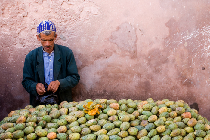 Prickly_pear_seller_wiki