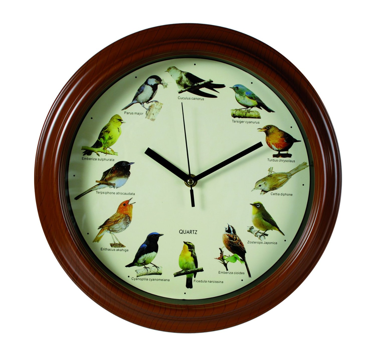 bird-melody-clock