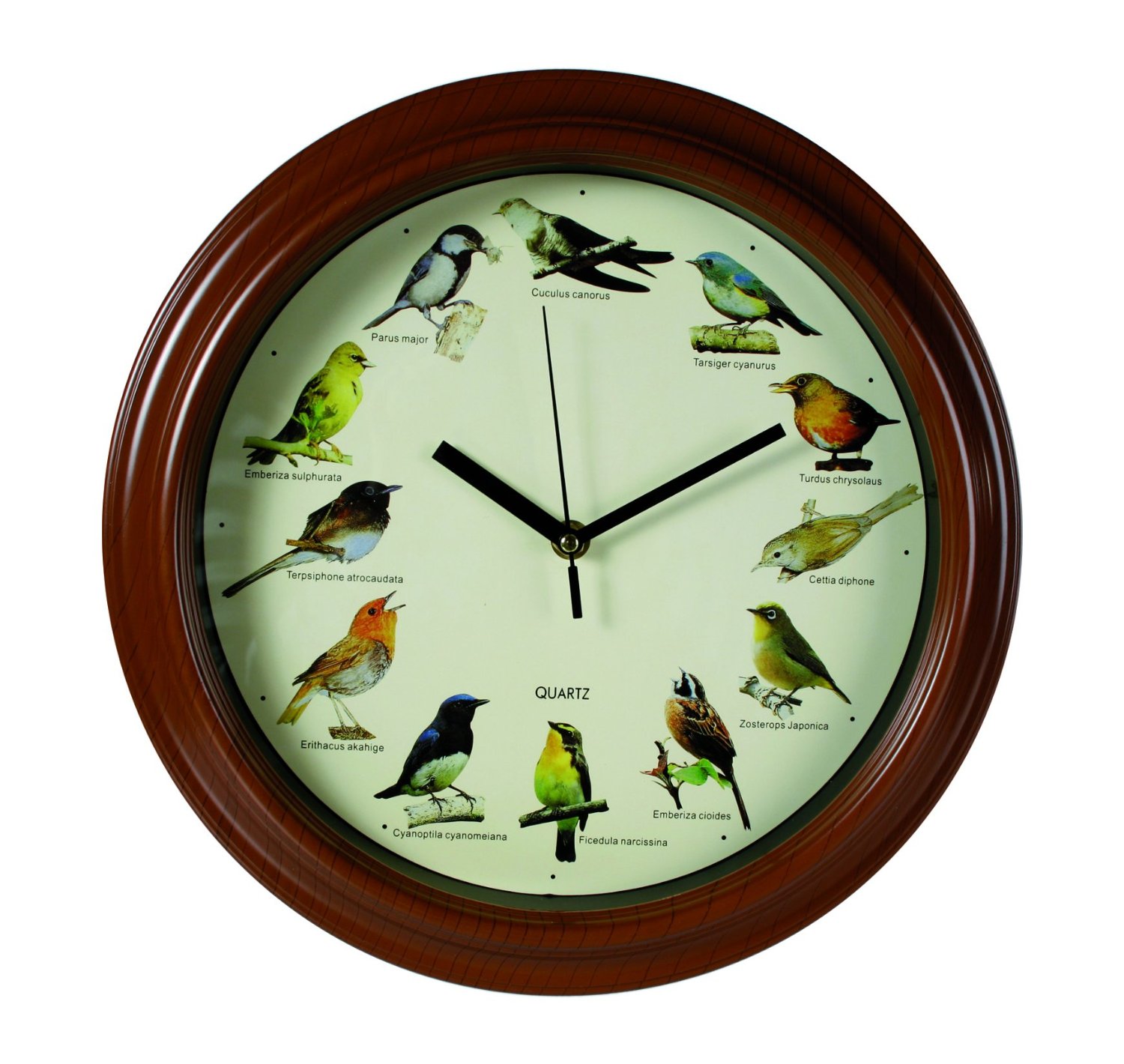 All About Stylish Wall Clocks - Amex Essentials