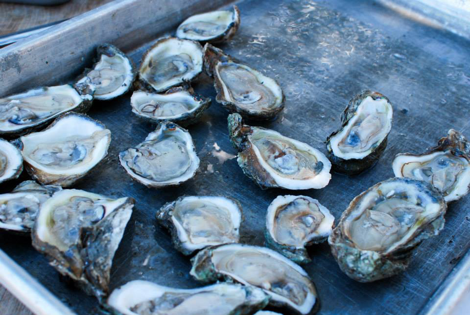 6-oyster festival