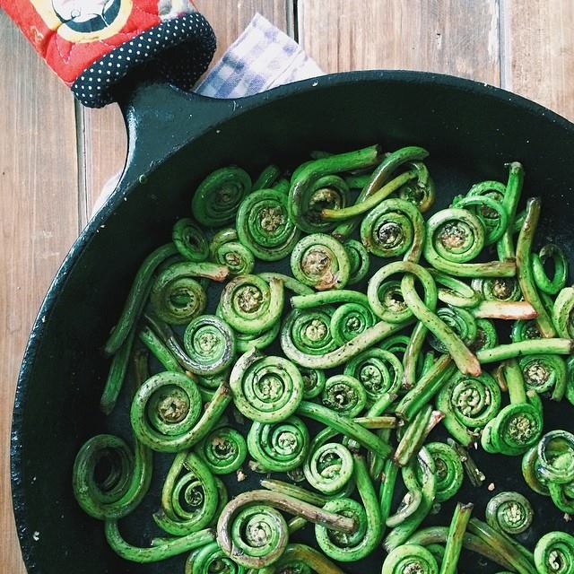 fiddleheads