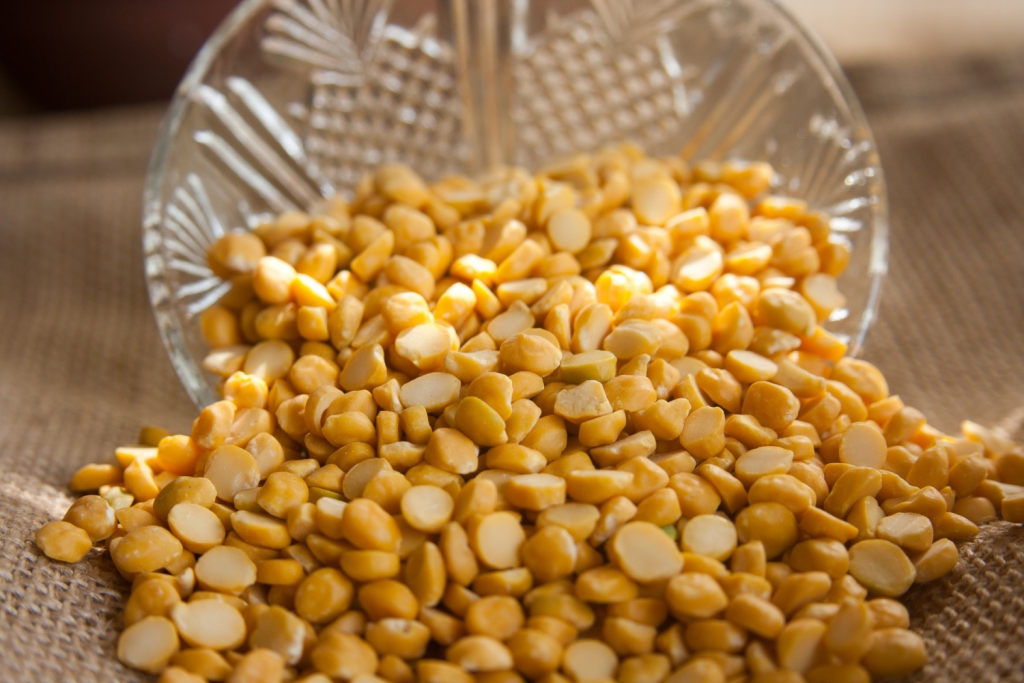 chana-166987