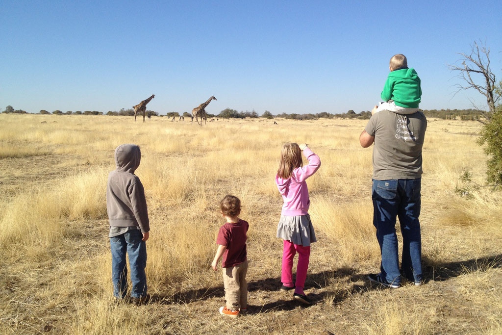 Kortmans Safari