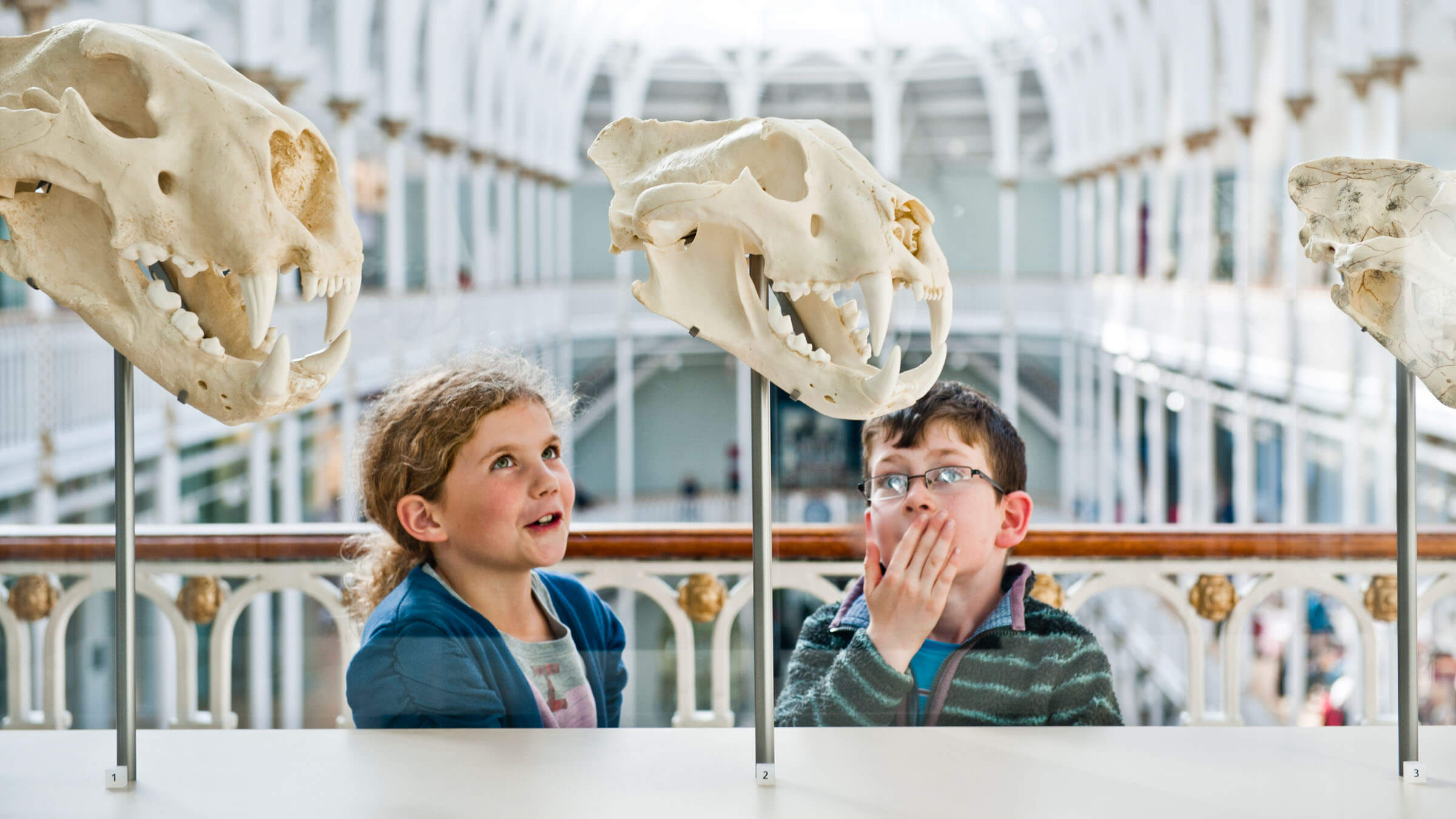Things To Consider When Visiting The British Museum With Kids The Vanda