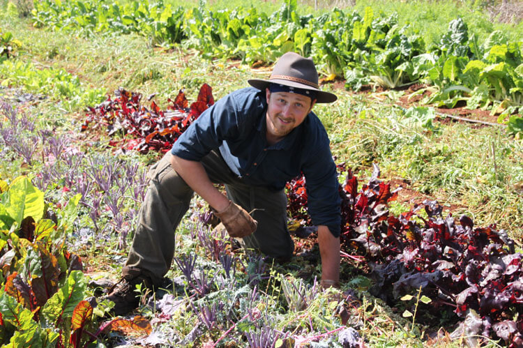 2 WWOOF
