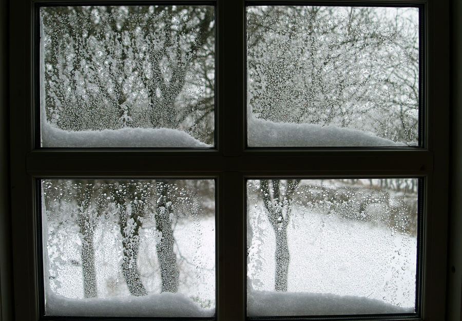 Cecelia Fahlstrom window-564287_1920