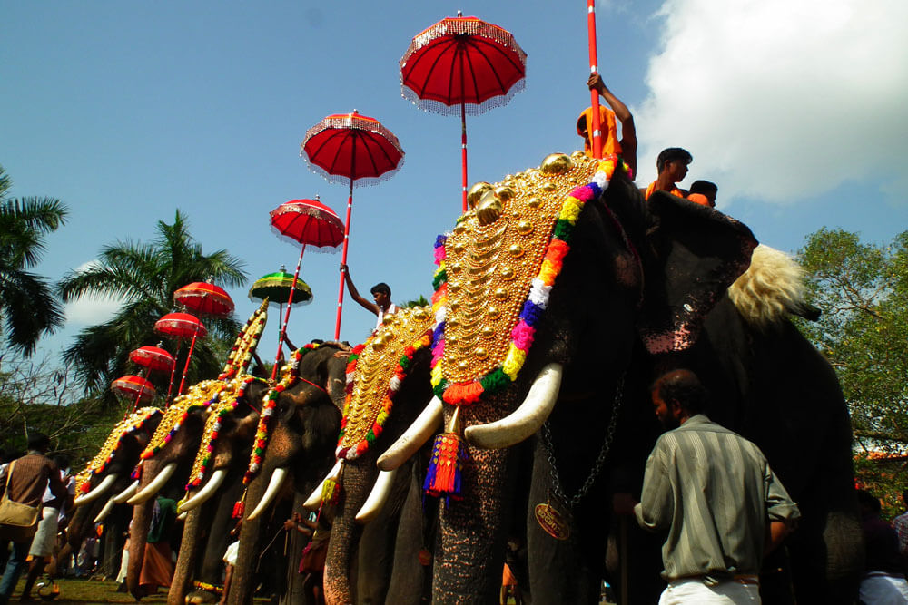 Thrissur 1