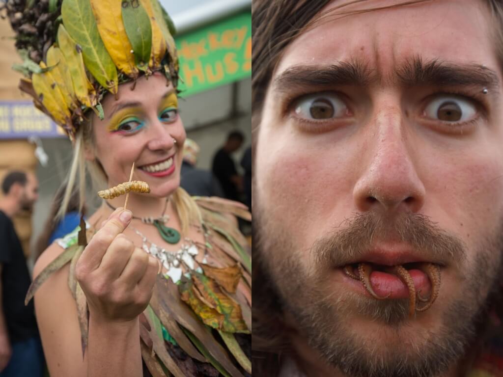 2 wildfoods