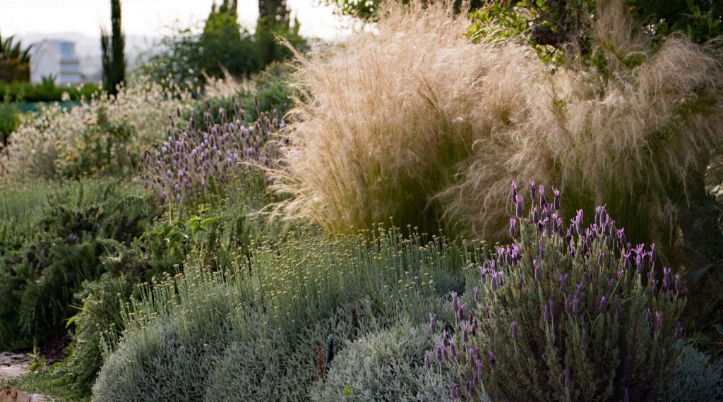 2a Waterwise Gardens in the Algarve