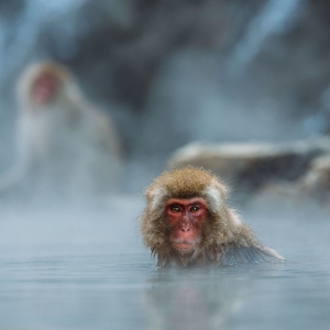 Soak in a hot spring