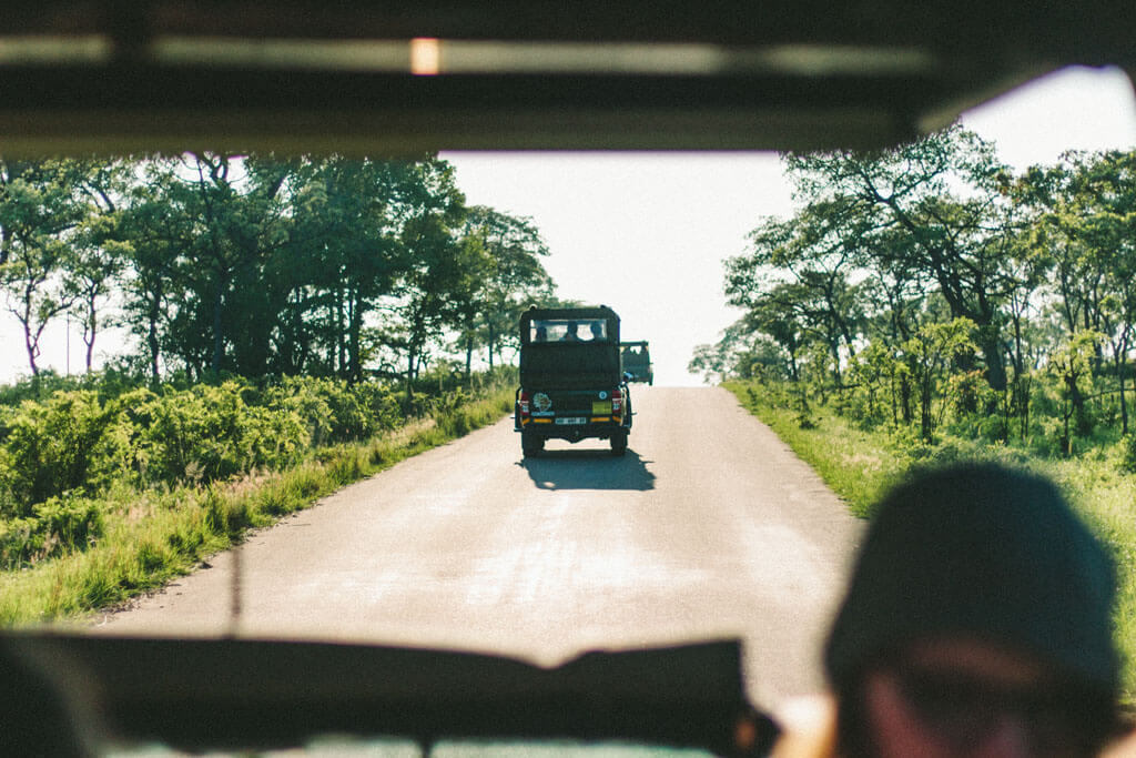 Self Drive Kruger