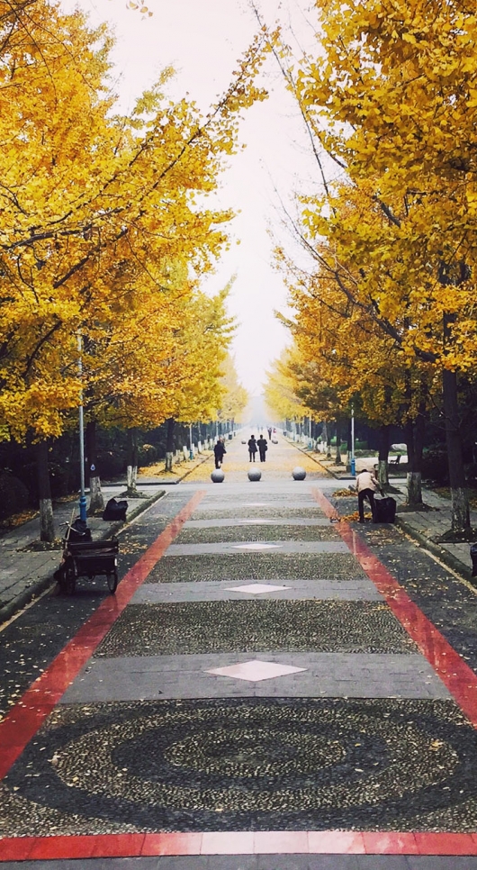 24 Hours In… Chengdu