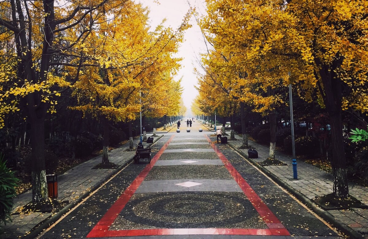 24 Hours In… Chengdu