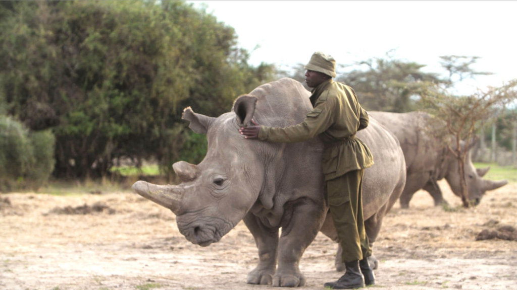 2a Sudan, James_3 - Andrew Brown