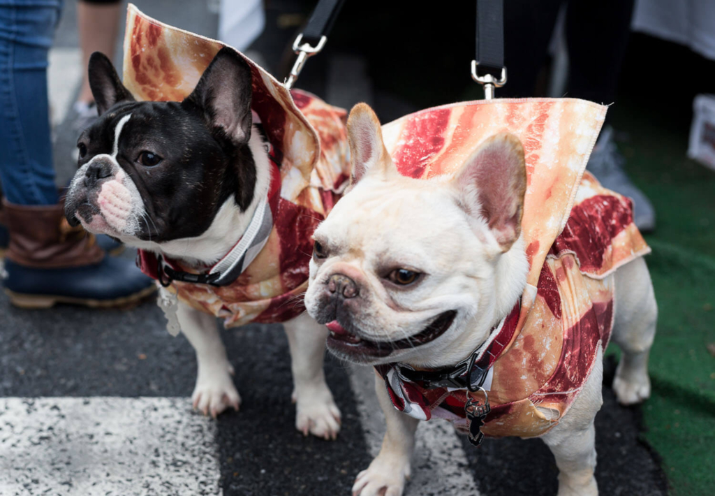 2a PA Baconfest, credit courtesy PA Baconfest