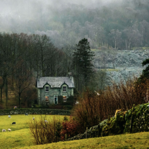 Cosy Cottage