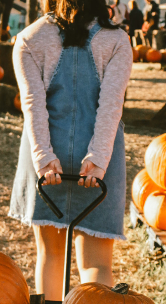 Quiz: What Autumn Food Festival Should You Attend?