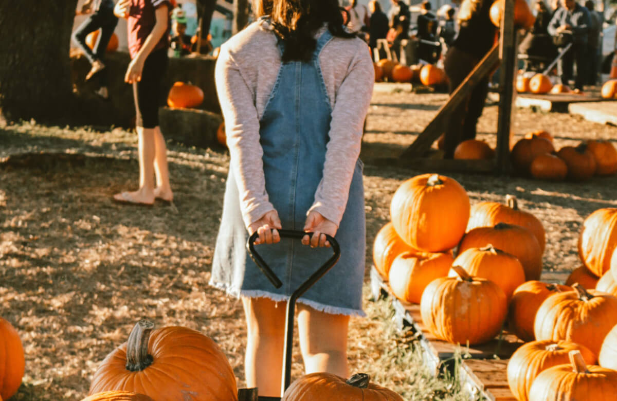 Quiz: What Autumn Food Festival Should You Attend?