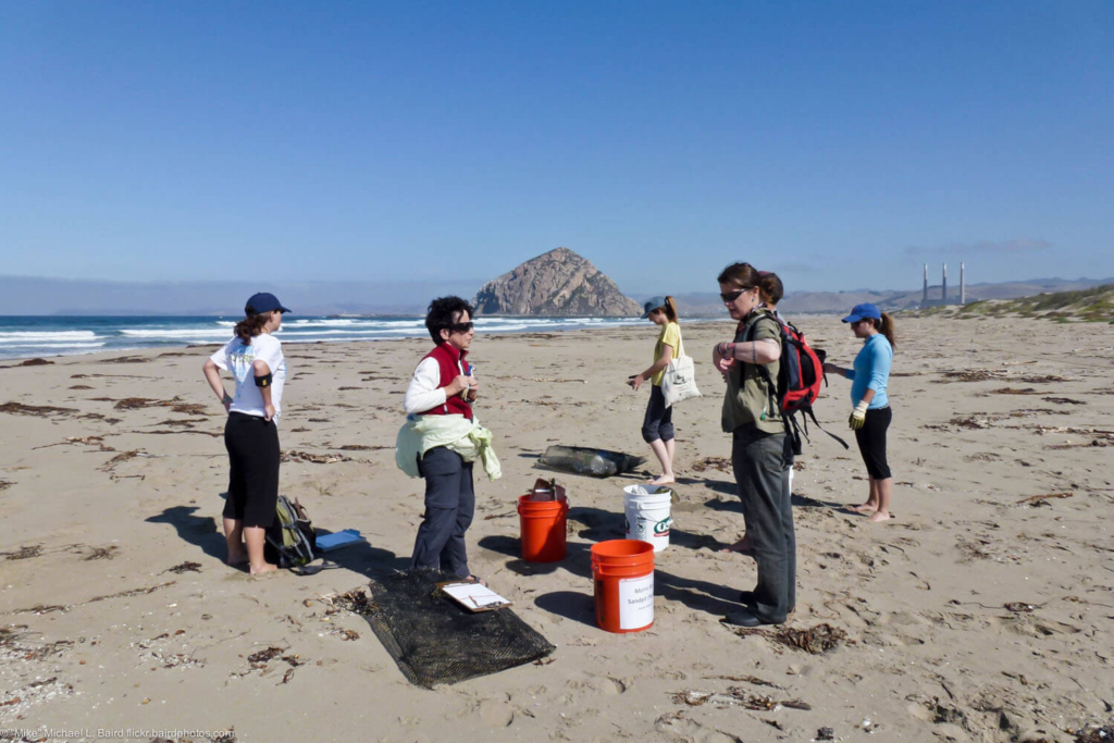 Morro Bay, CA Sandspit Coastal Cleanup Day (CCD), Saturday, Sep