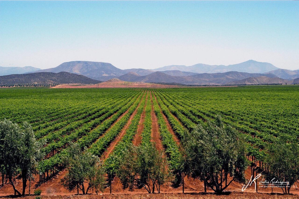 4 Valle_de_San_Vicente._Llano_Colorado, credit Julio Rodriguez wikimedia commons