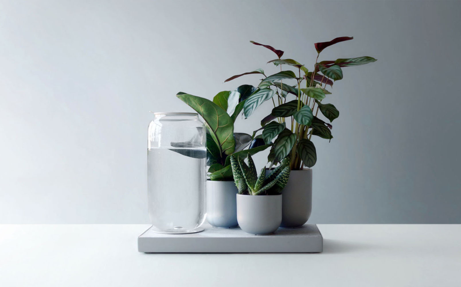 Talking object. 2 children are talking. Talking object. Игнорирование эмоций. Обджект шоу комьюнити.