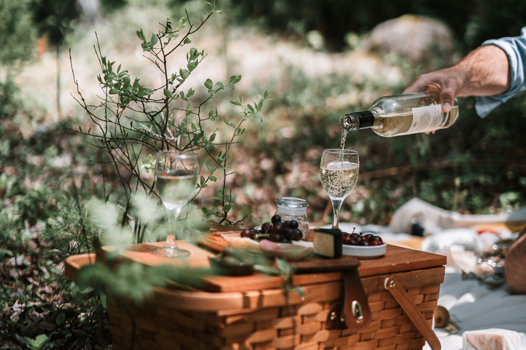 Picnic Wines