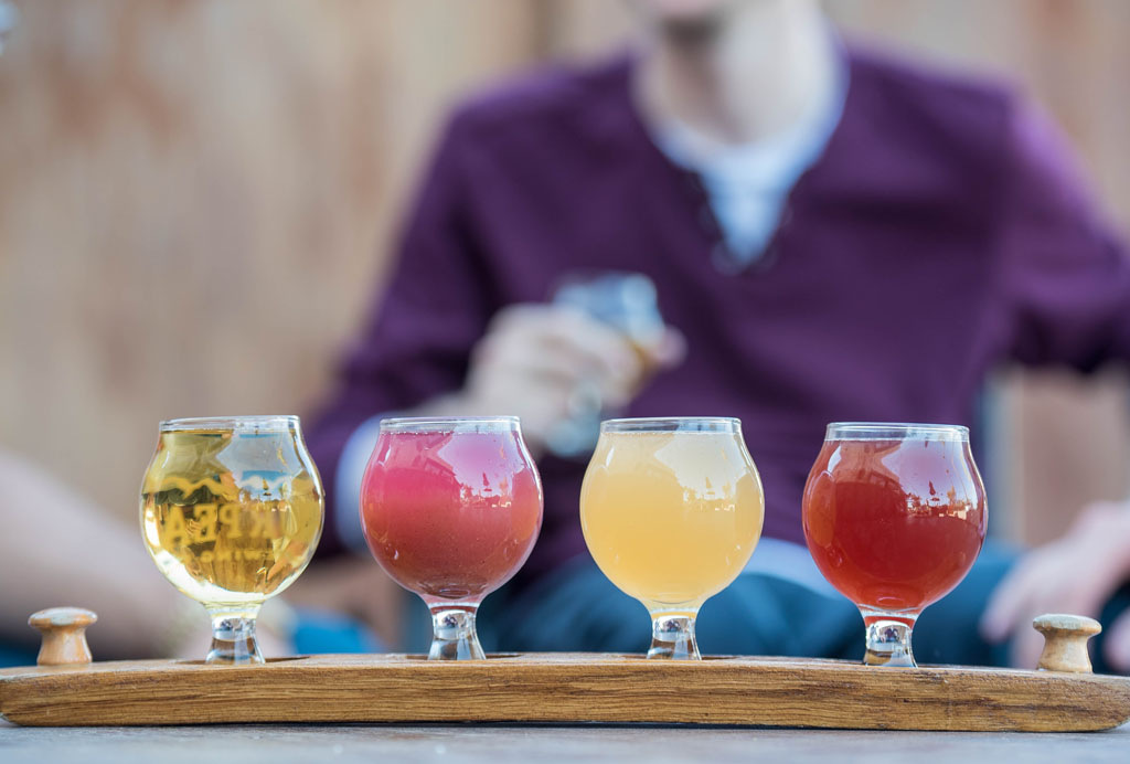 Beer tasting at brewery