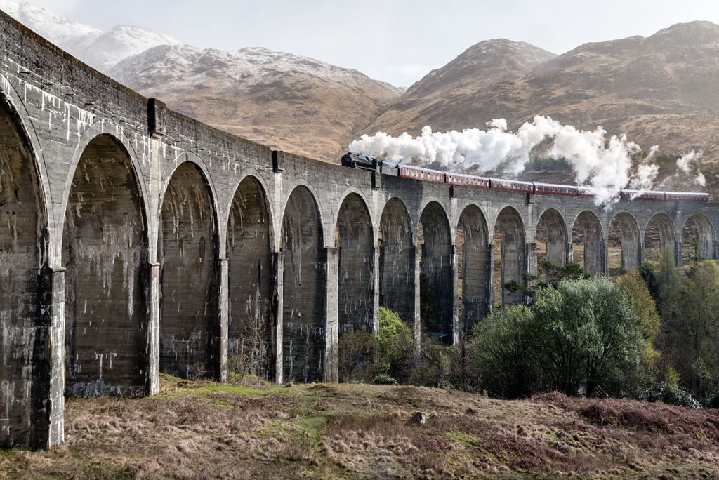 Train trips