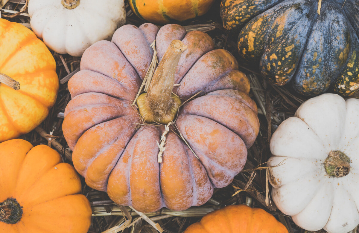 Oh My Gourd! 9 Unusual Pumpkin & Squash Varieties To Know (And Cook)