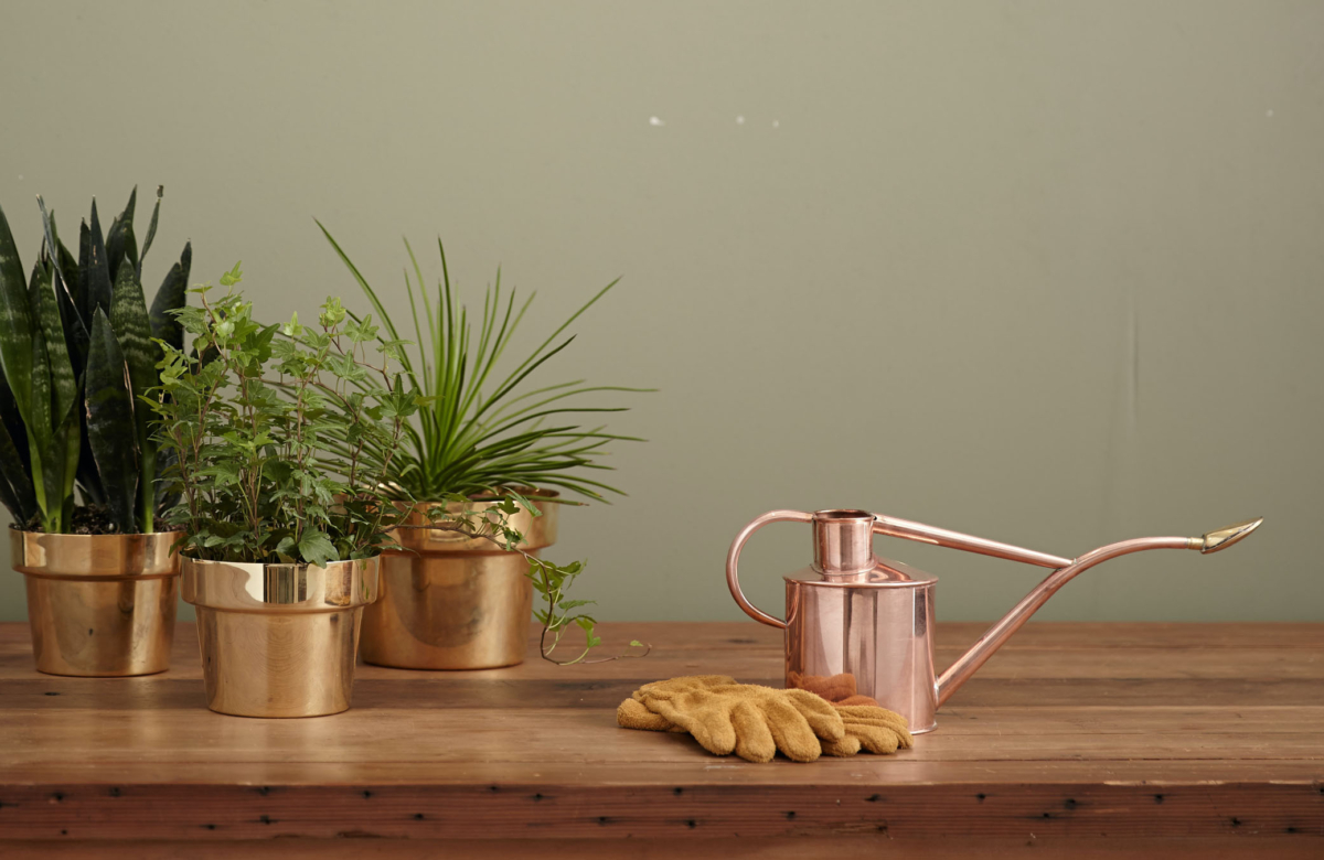 14 Gardening Tools With A Twist