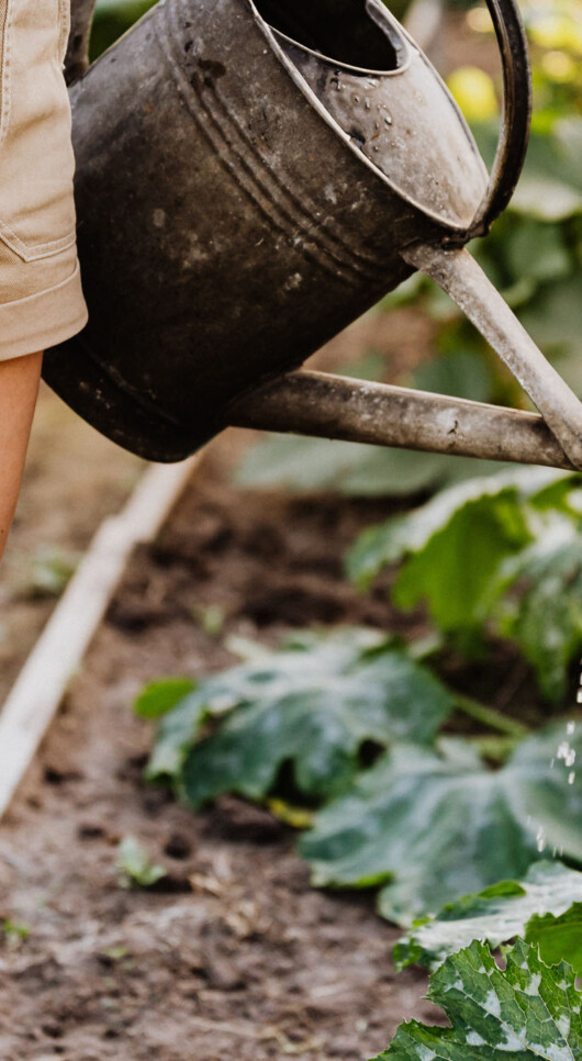 Avant Gardeners: 10 Experimental Gardening Events To Attend Online