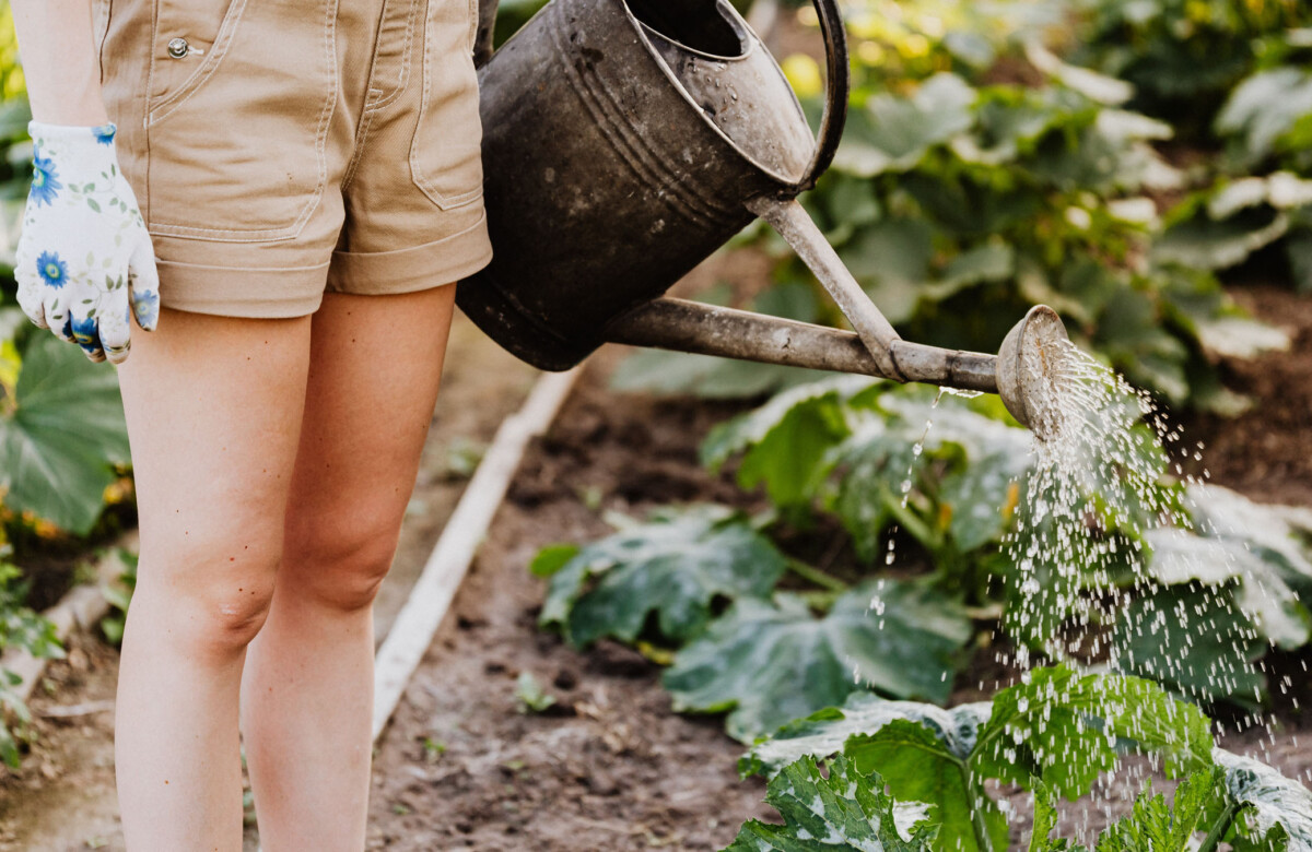 Avant Gardeners: 10 Experimental Gardening Events To Attend Online