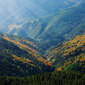 La cima de una montaña verde