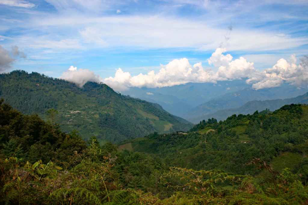 sur2, credit Prsjl via Wikimedia Commons