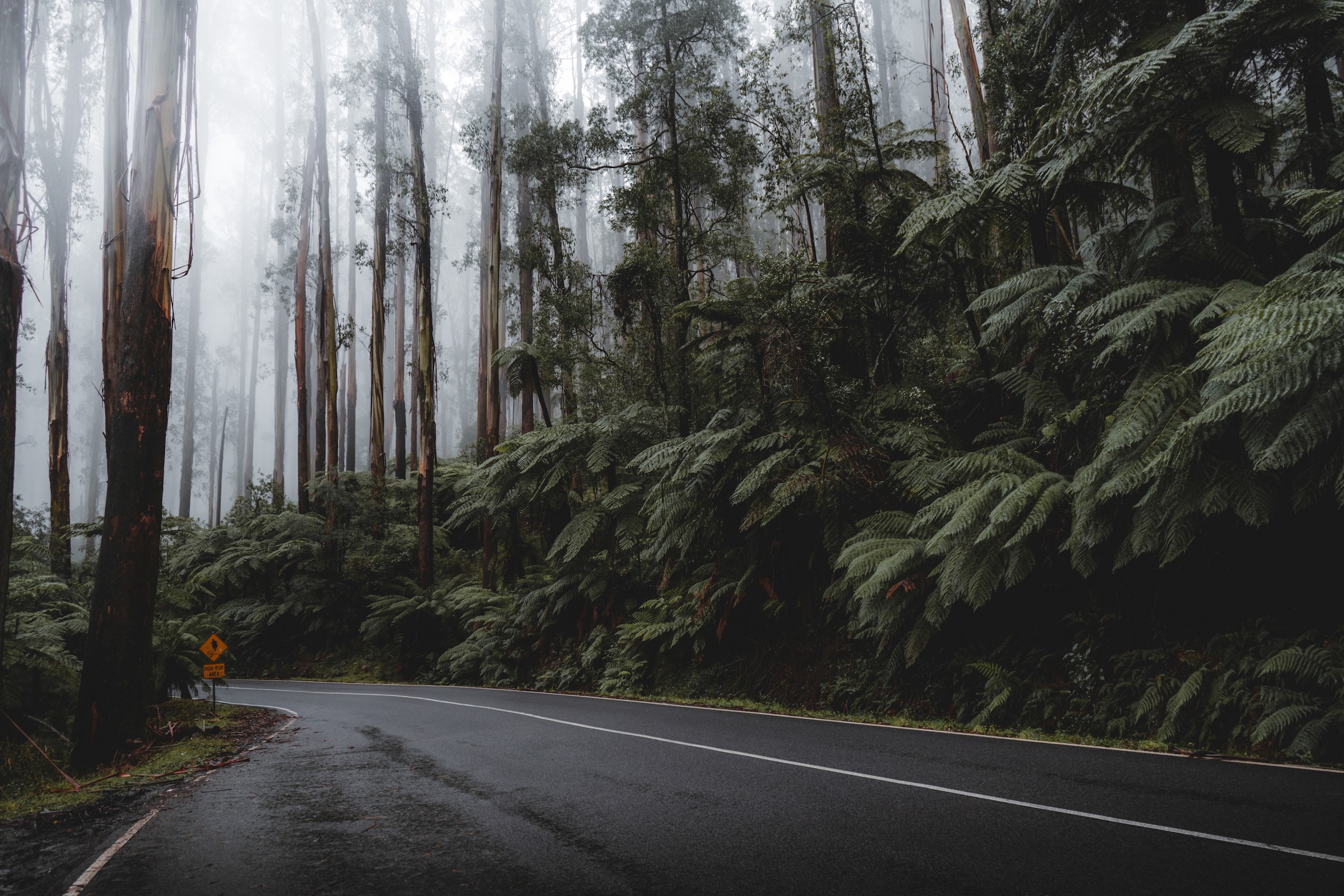Antonio Otgianu TIPS Black Spur Drive, Victoria, Australia