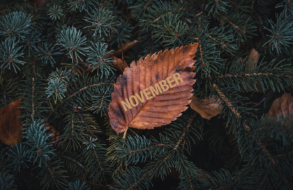 The Essentials: Top Cultural Highlights In November