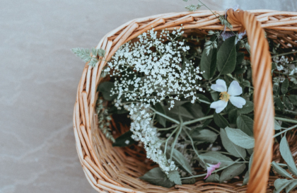 Challenge Yourself: Learn To Forage