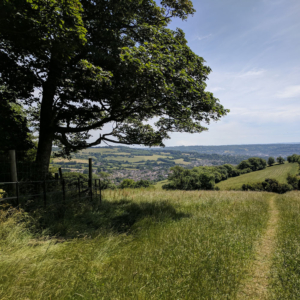 Countryside