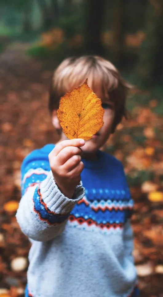Fall For Fun: 10 Autumn Activities For Kids