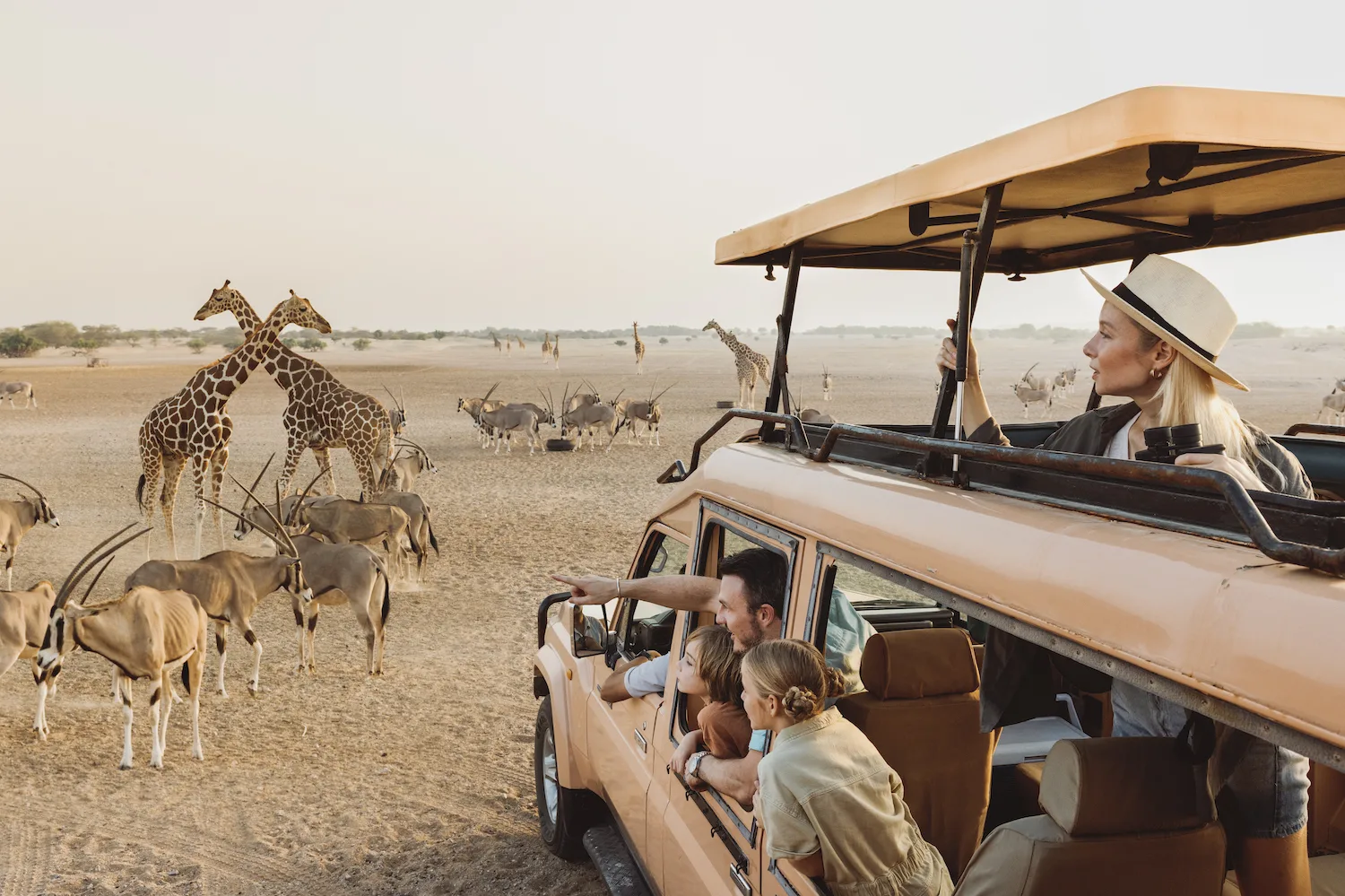 3b 4x4 wildlife safari tour Arabian Wildlife Park, Sir Bani Yas Island