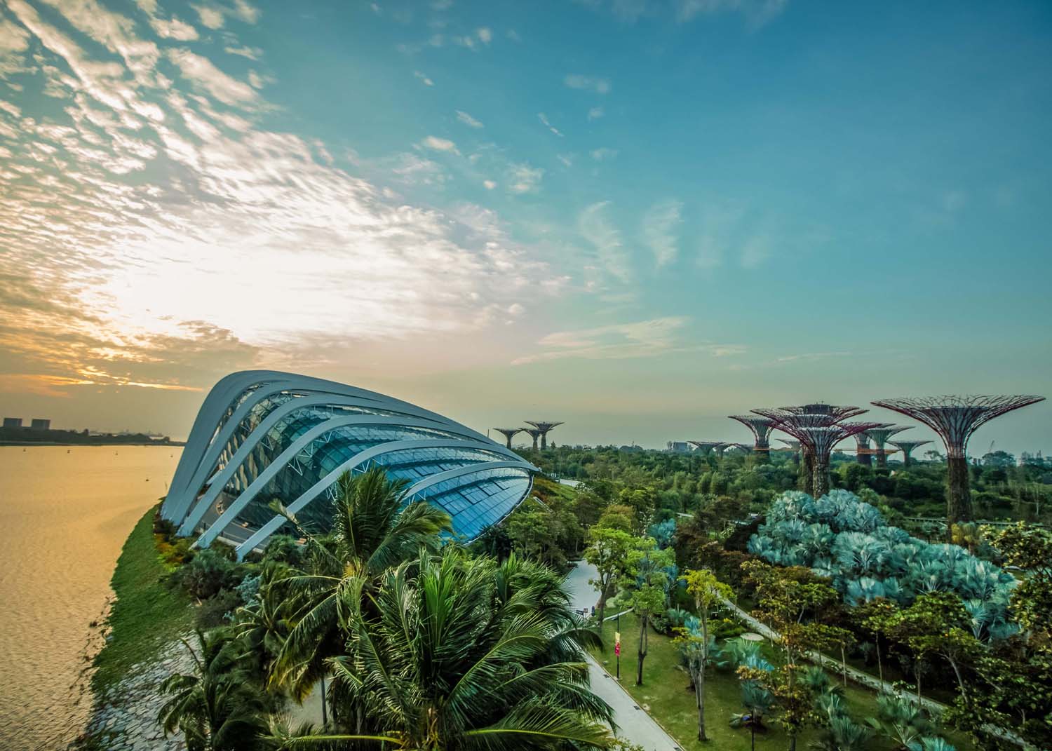 3b Gardens by the Bay IMG_1241_copy