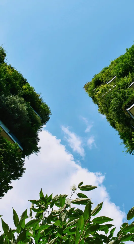 Global Greening: How Top World Cities Are Reclaiming Natural Spaces