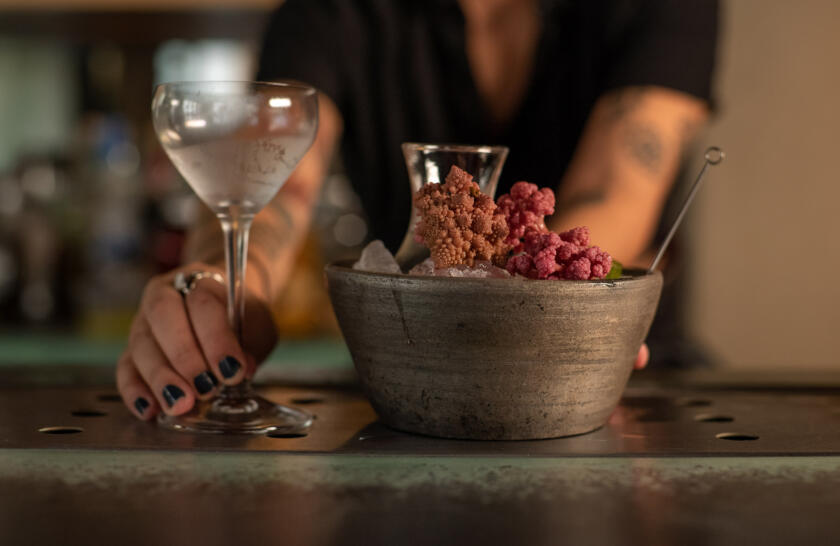 Sips In The City: 10 Top Mexico City Bars