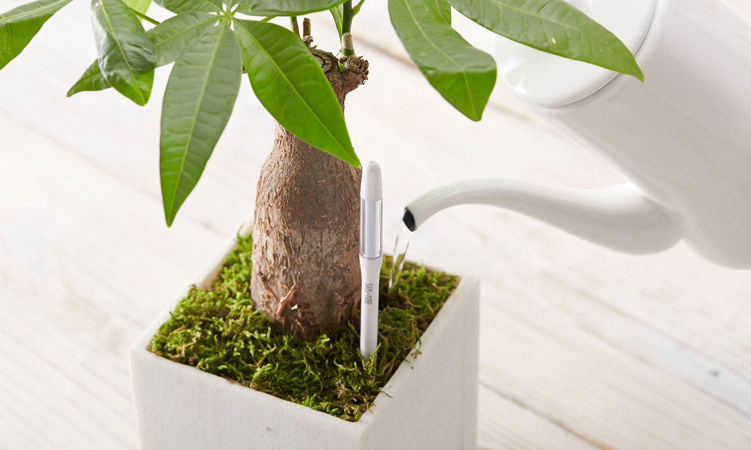 gardening-gadgets-aquameter
