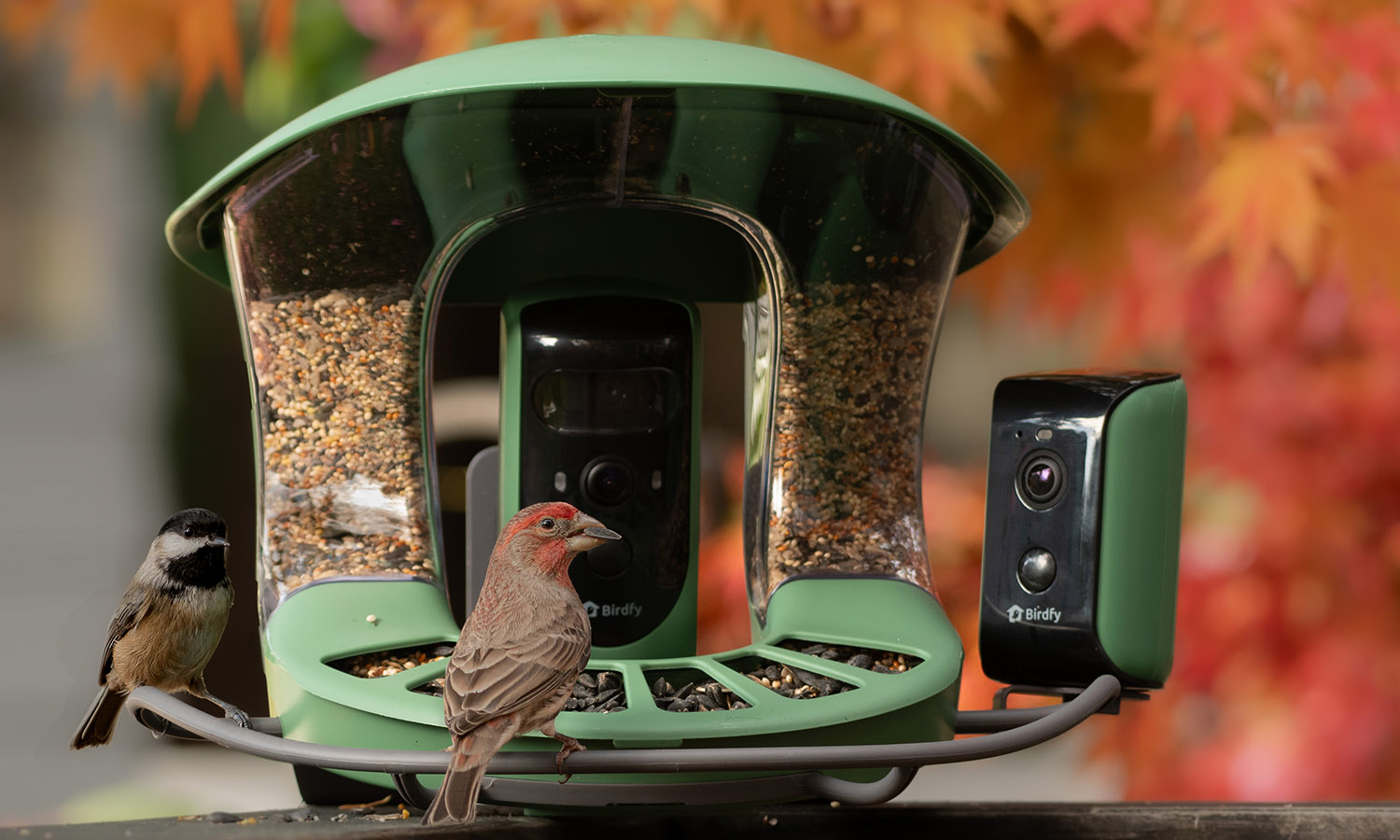 gardening-gadgets-bird-feeder