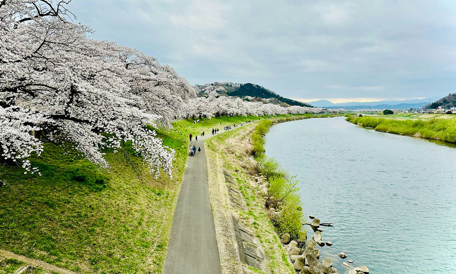 where-to-go-sendai