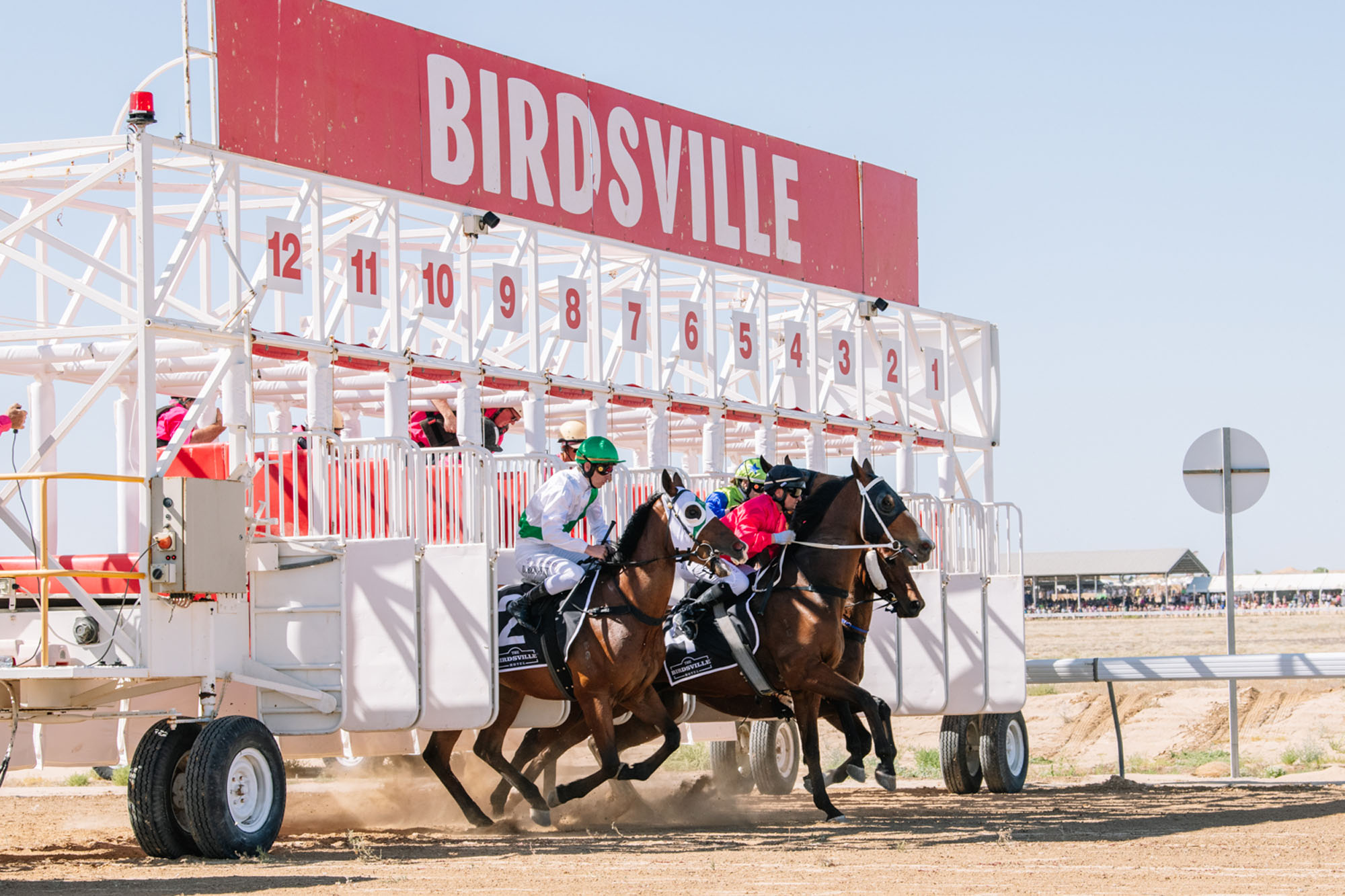 Birdsville1