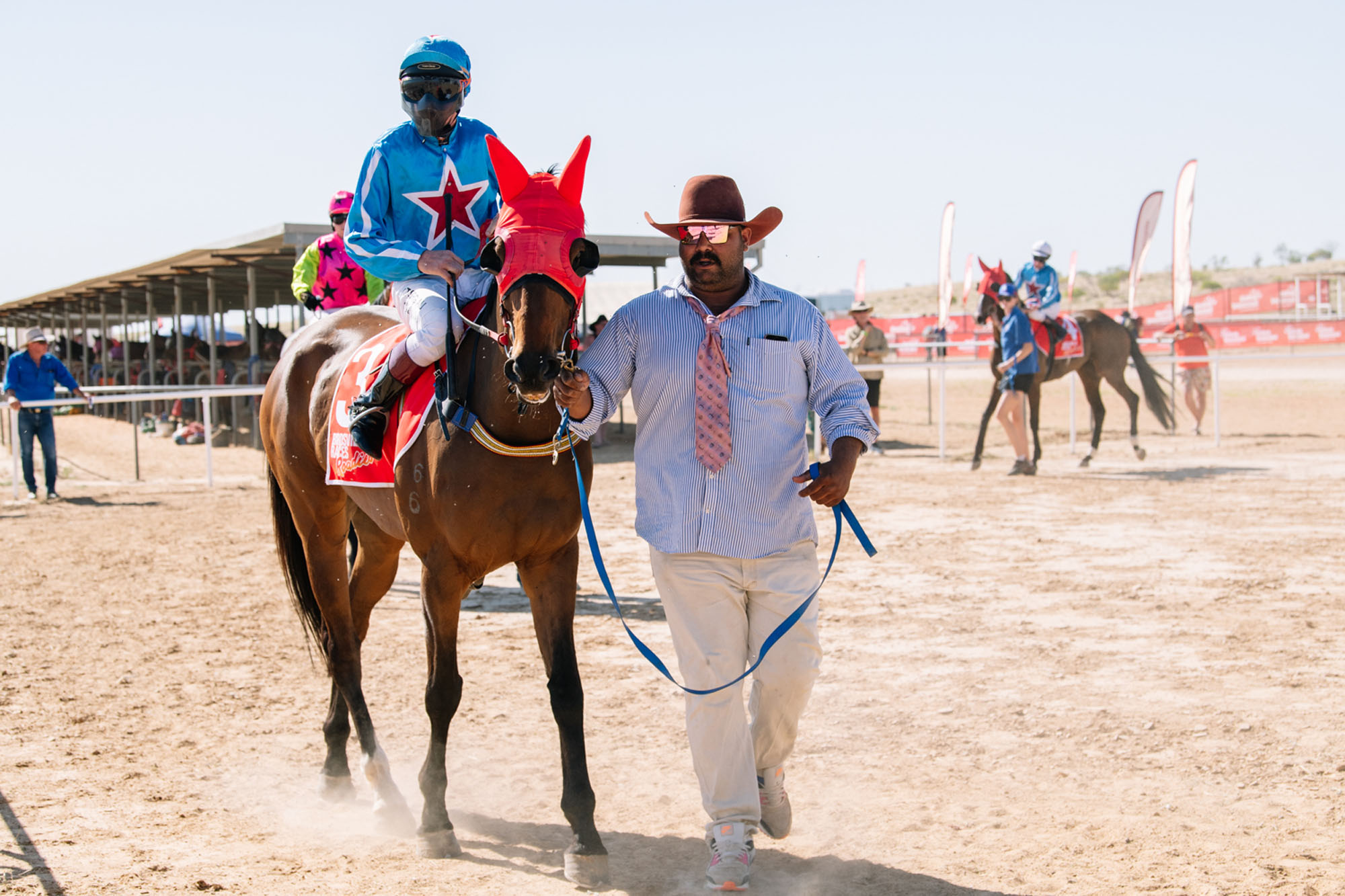 Birdsville2