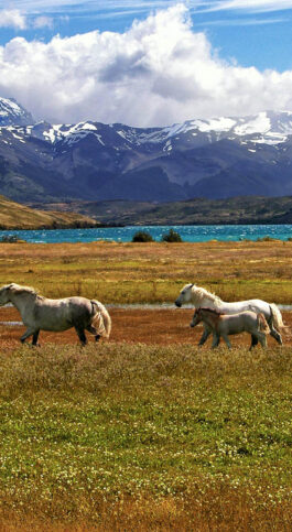 Where To Go Now: 8 Destinations For September To December