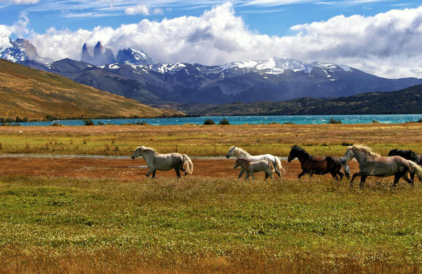 Where To Go Now: 8 Destinations For September To December